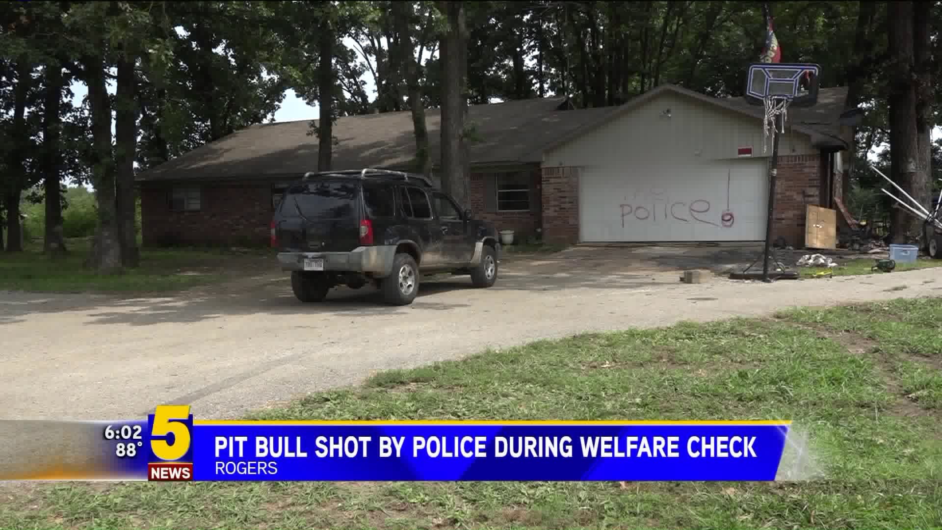 Pit Bull Shot By Rogers Police During Welfare Check