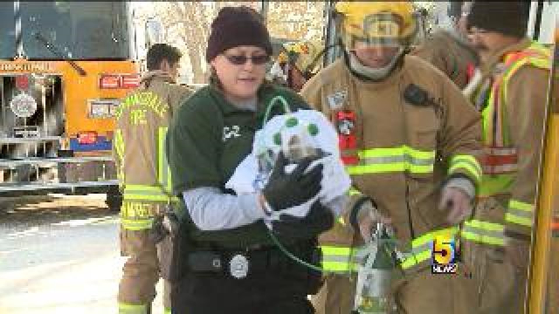 Three Dogs Rescued From Burning Springdale Home
