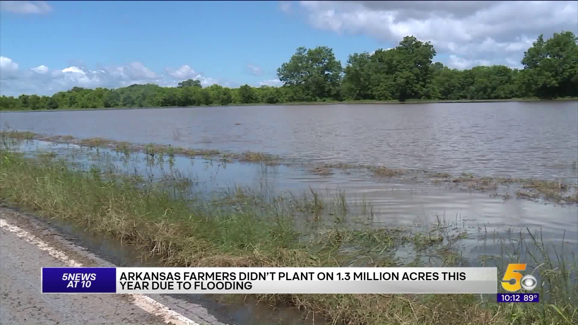 Arkansas Farmers Didn`t Plant On 1.3 Million Acres This Year