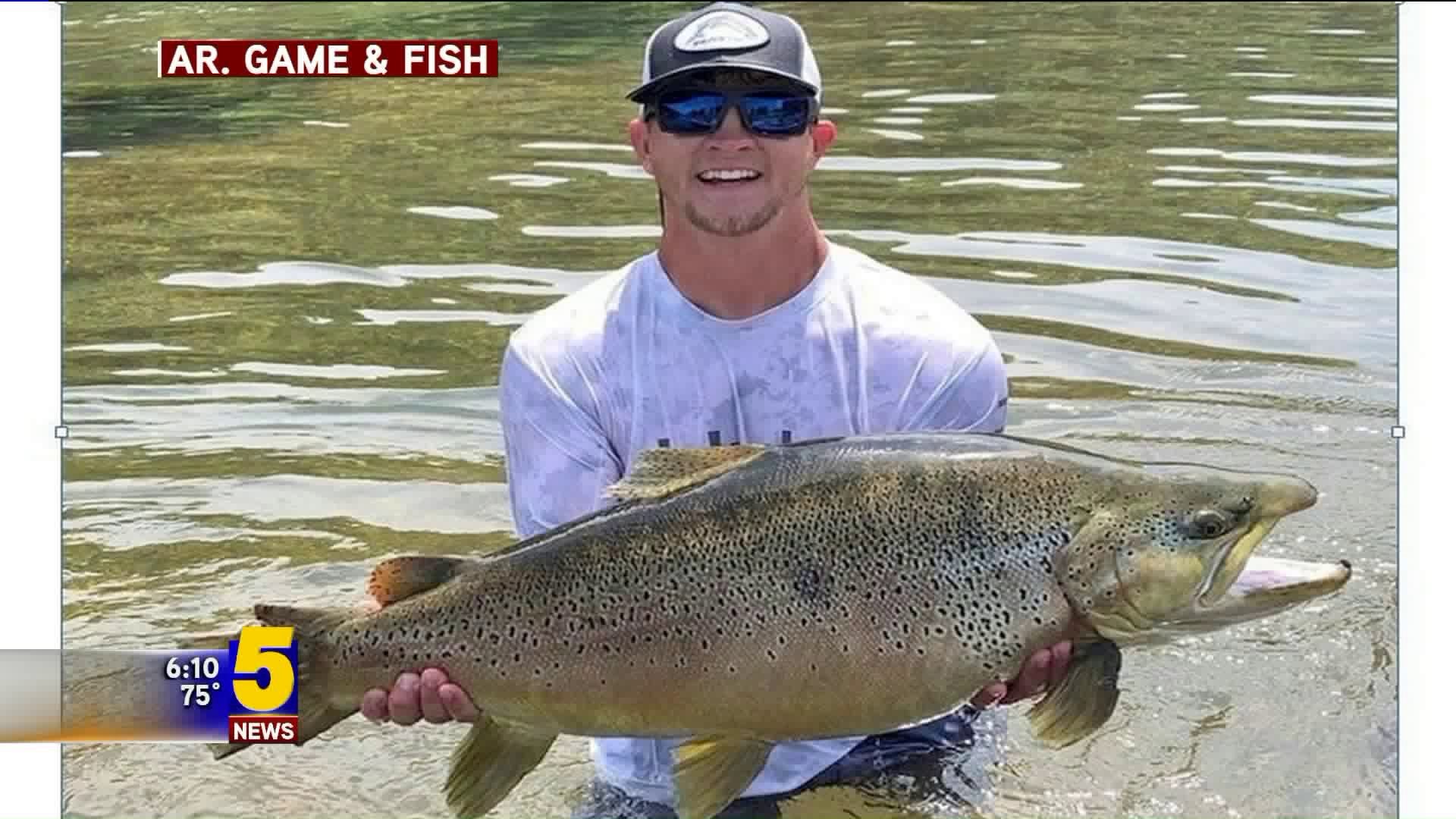Arkansas Man Reels In Whopper Trout On White River