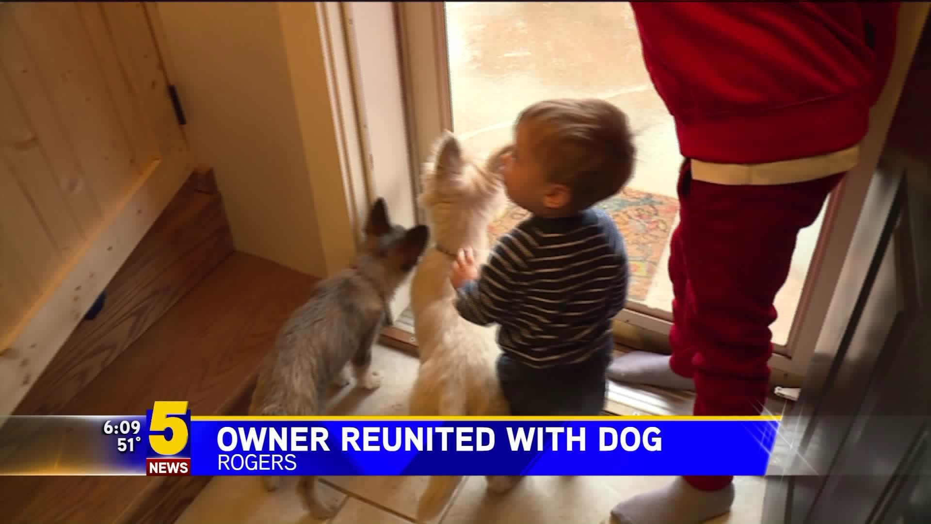 Owner Reunited With Dog