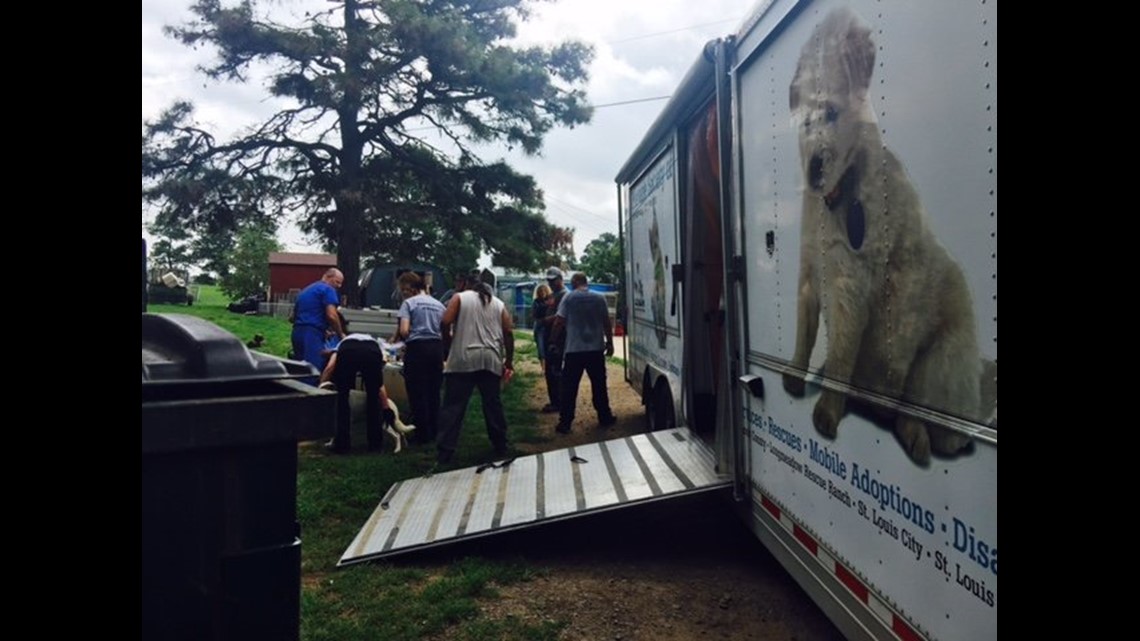 Owner Of Animal Shelter Asks Sheriff’s Department For Help, Nearly 50