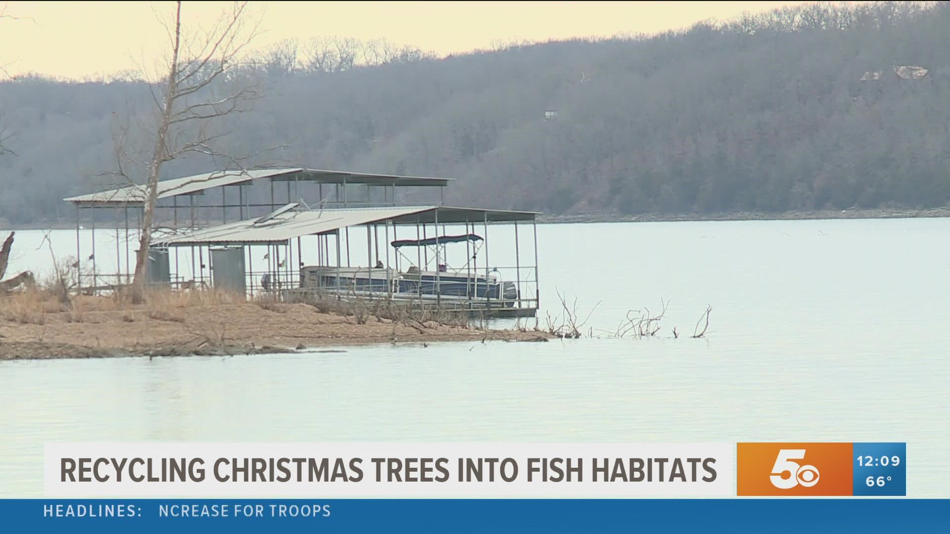 • Locals recycle Christmas trees into fish habitats • Name of deputy who hit and killed pedestrian in Fayetteville released • Escaped inmates recaptured
