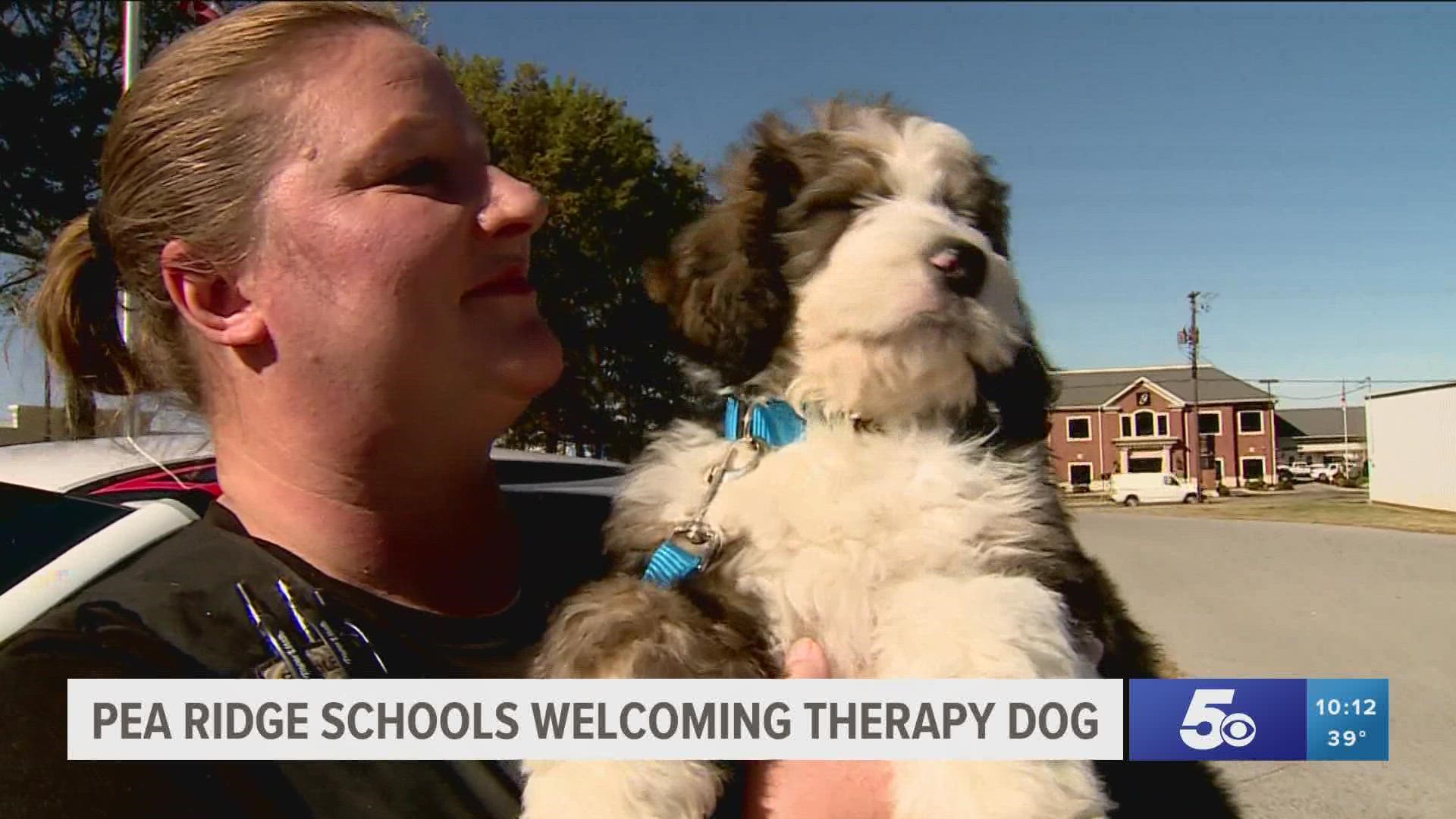 Students at Pea Ridge will be renaming "Koda" before he takes on the role of a therapy dog at the school district.