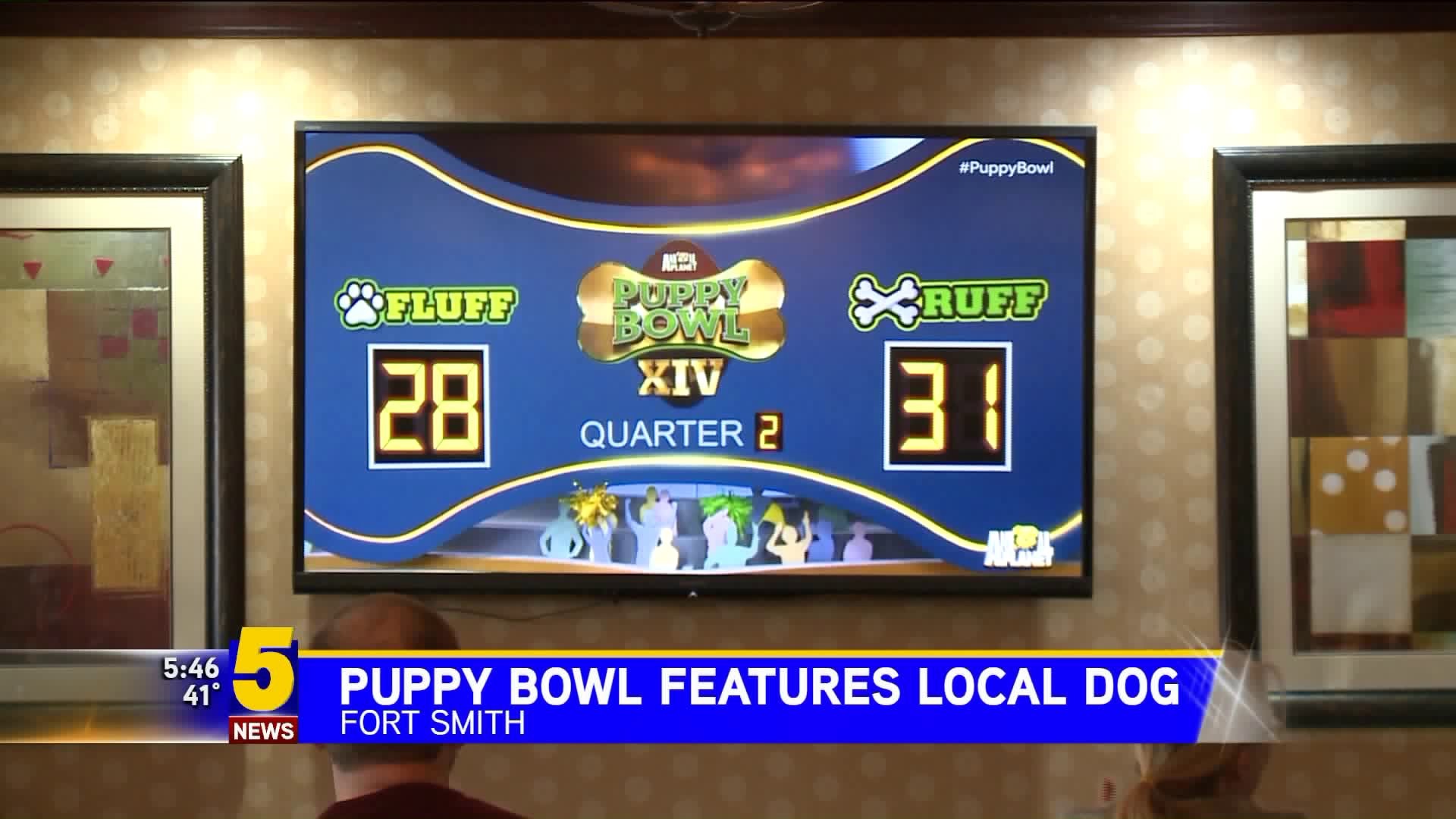 Local Pup Featured In Puppy Bowl
