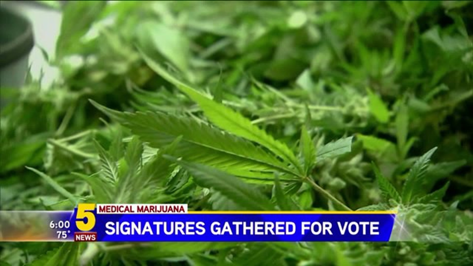 Signatures Gathered For Vote