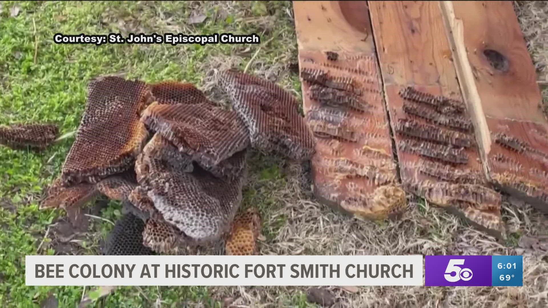The bees had already left their hive on the roof of St. John's Episcopal Church, but beekeepers removed the hive left behind.
