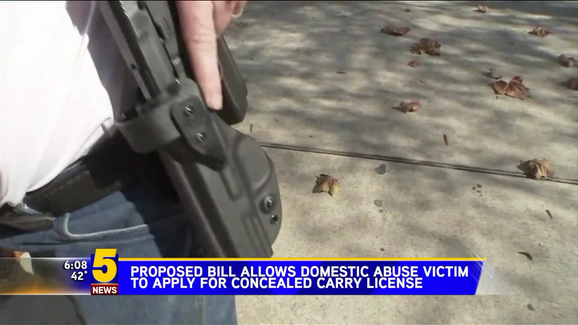 Proposed Bill Allows Domestic Abuse Victims To Apply for Concealed Carry License