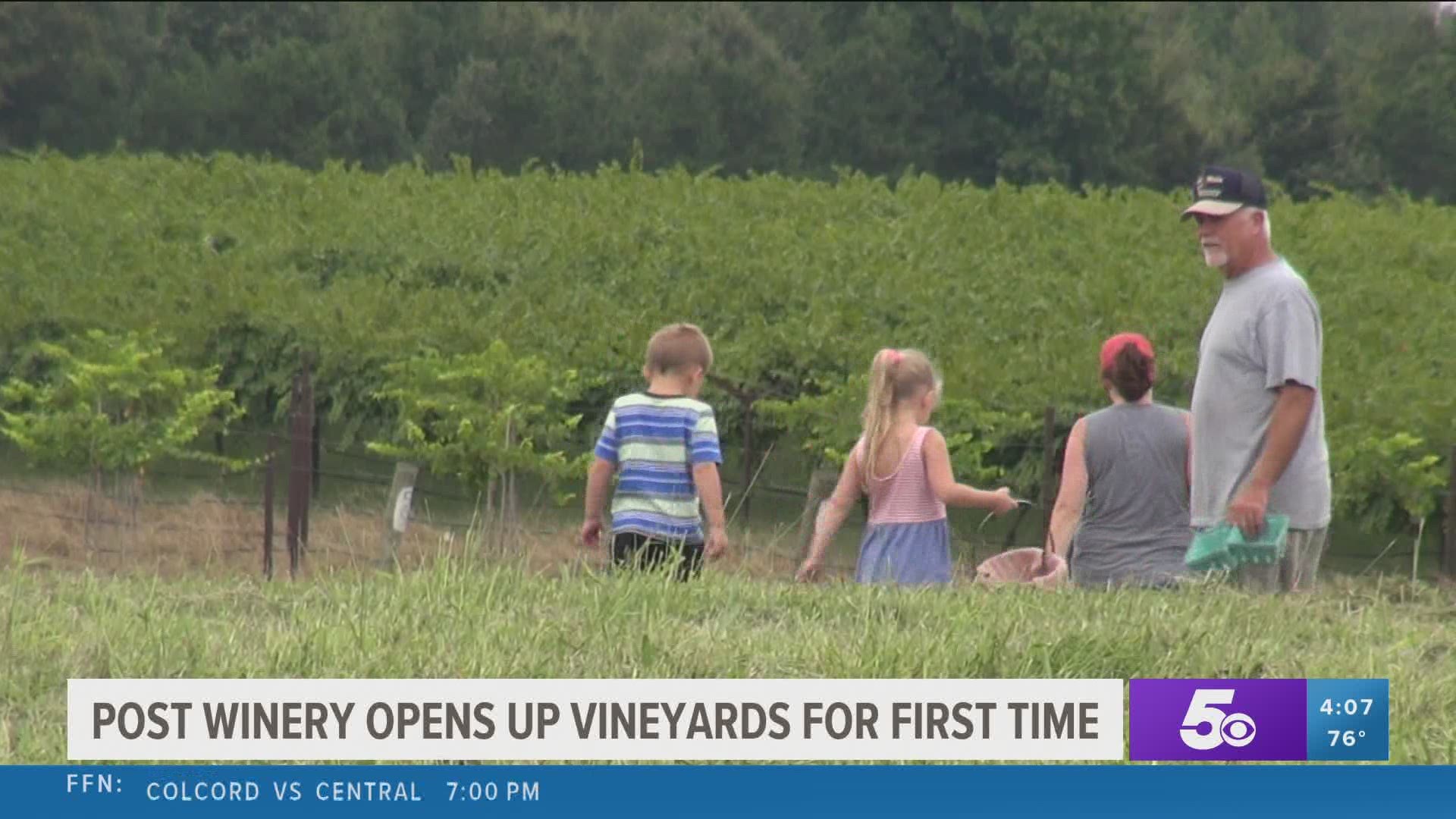 Post winery opens up vineyards for first time.