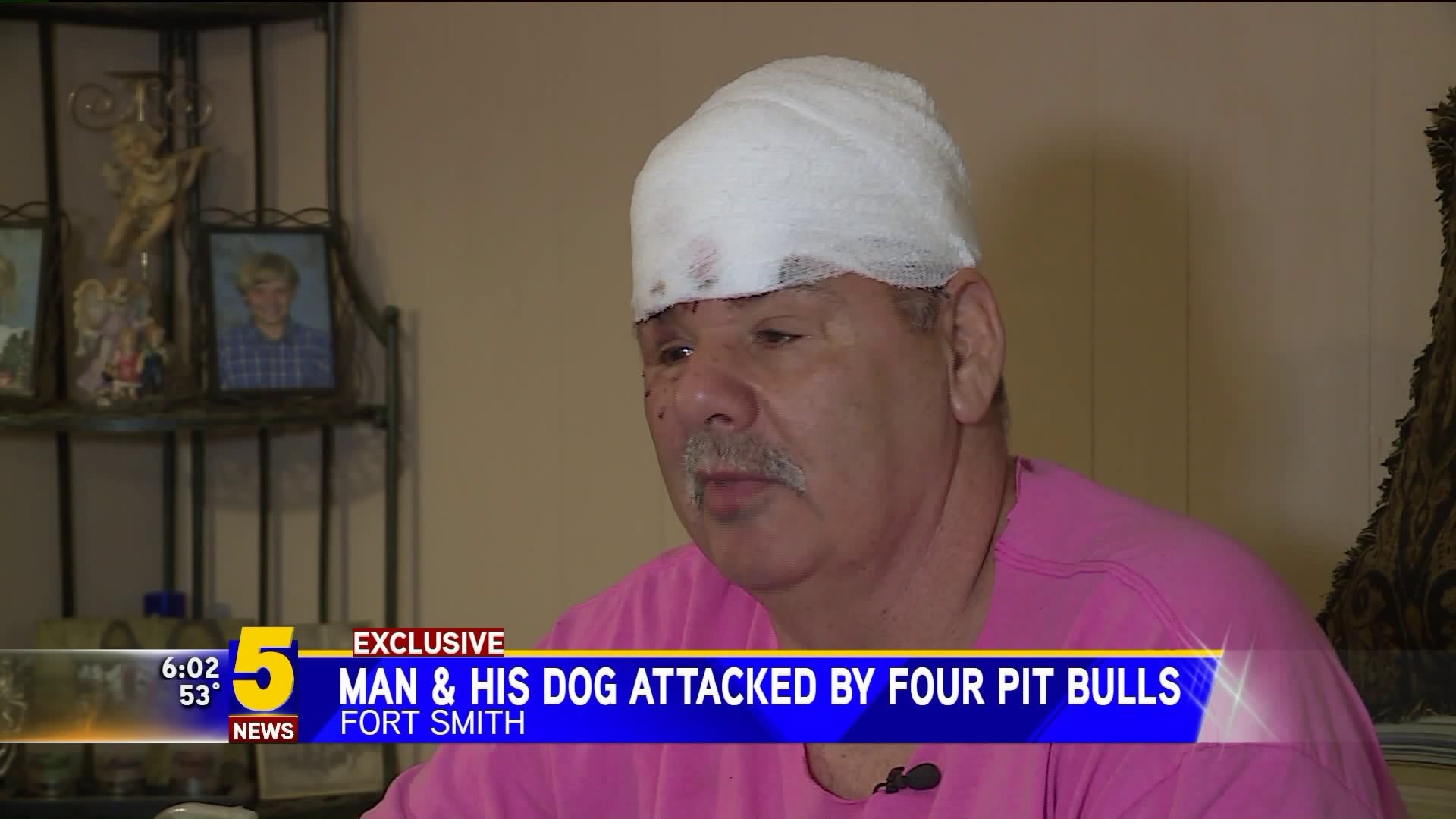 Man & His Dog Attacked By Four Pit Bulls