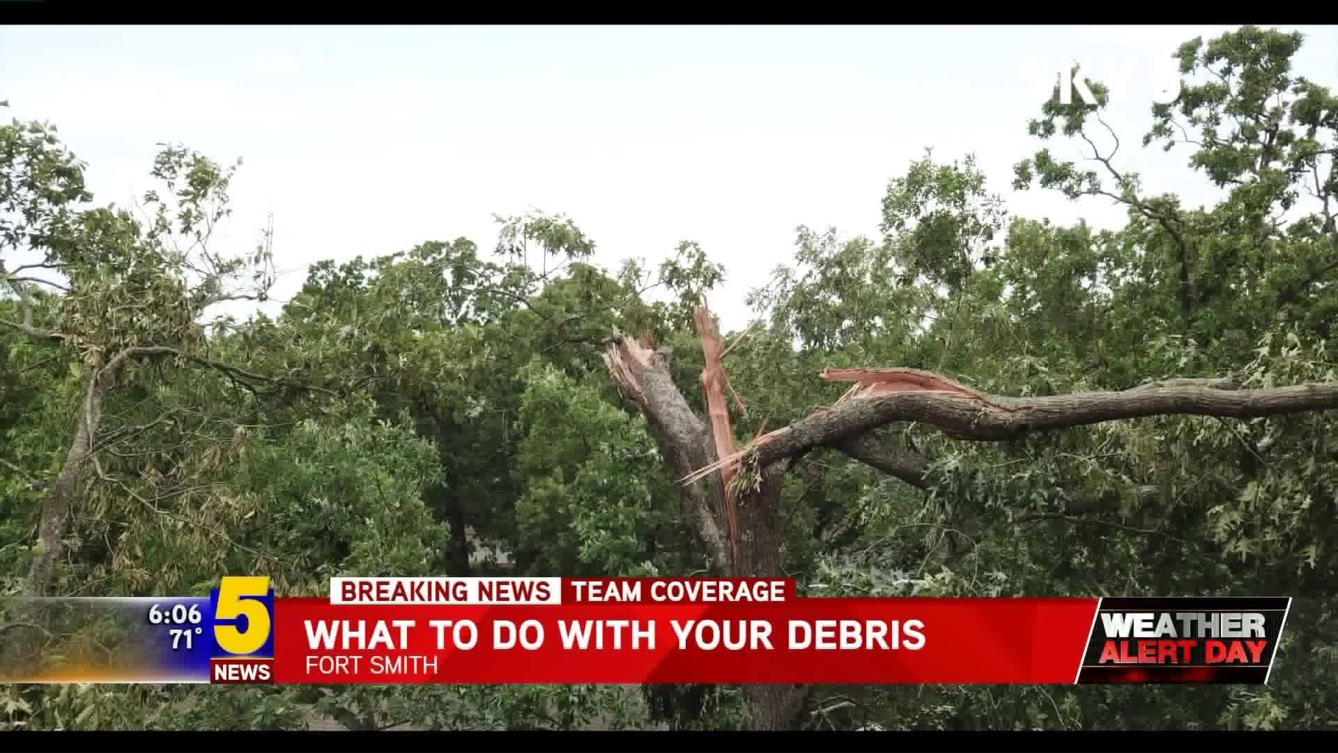 What To Do With Your Storm Debris