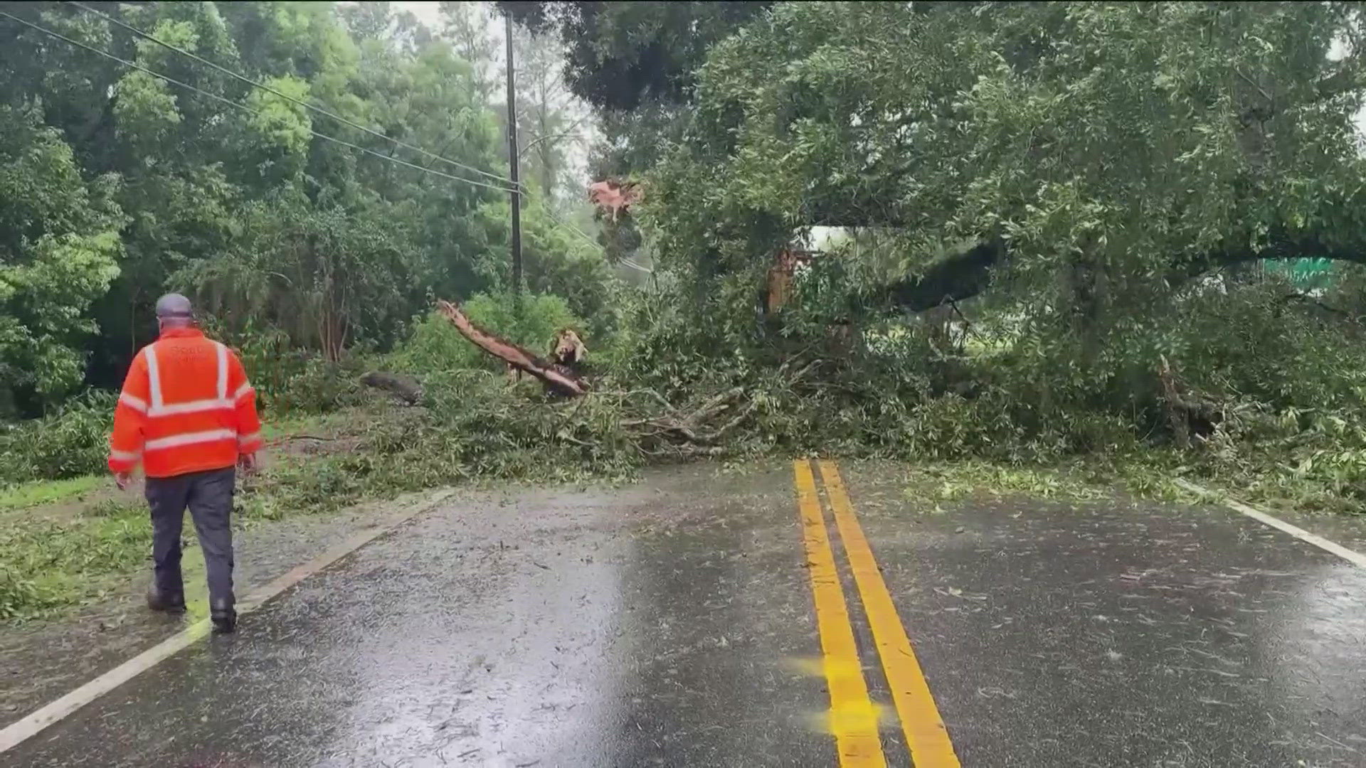 The hurricane claimed the life of a 13-year-old boy who was killed when a tree fell on his home.