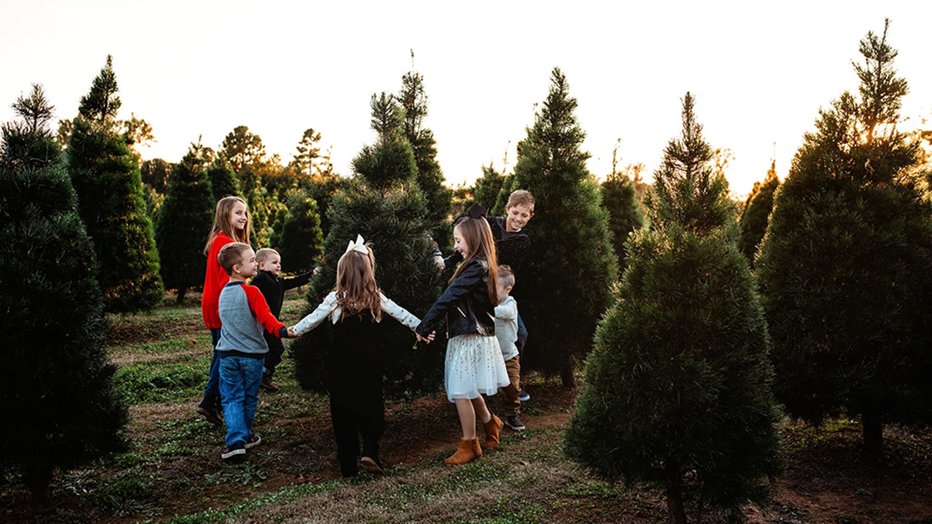 Pea Ridge Christmas tree farm closes early