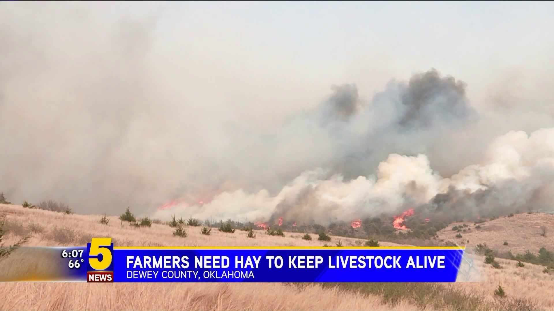 Farmers Need Hay To Keep Livestock Alive
