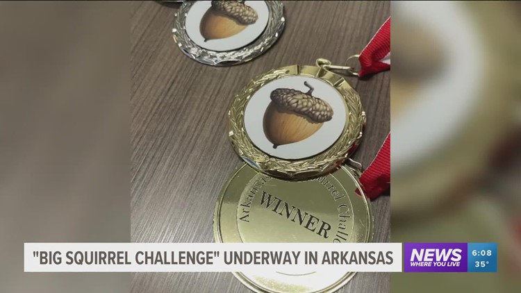 'Big Squirrel Challenge' underway in Arkansas