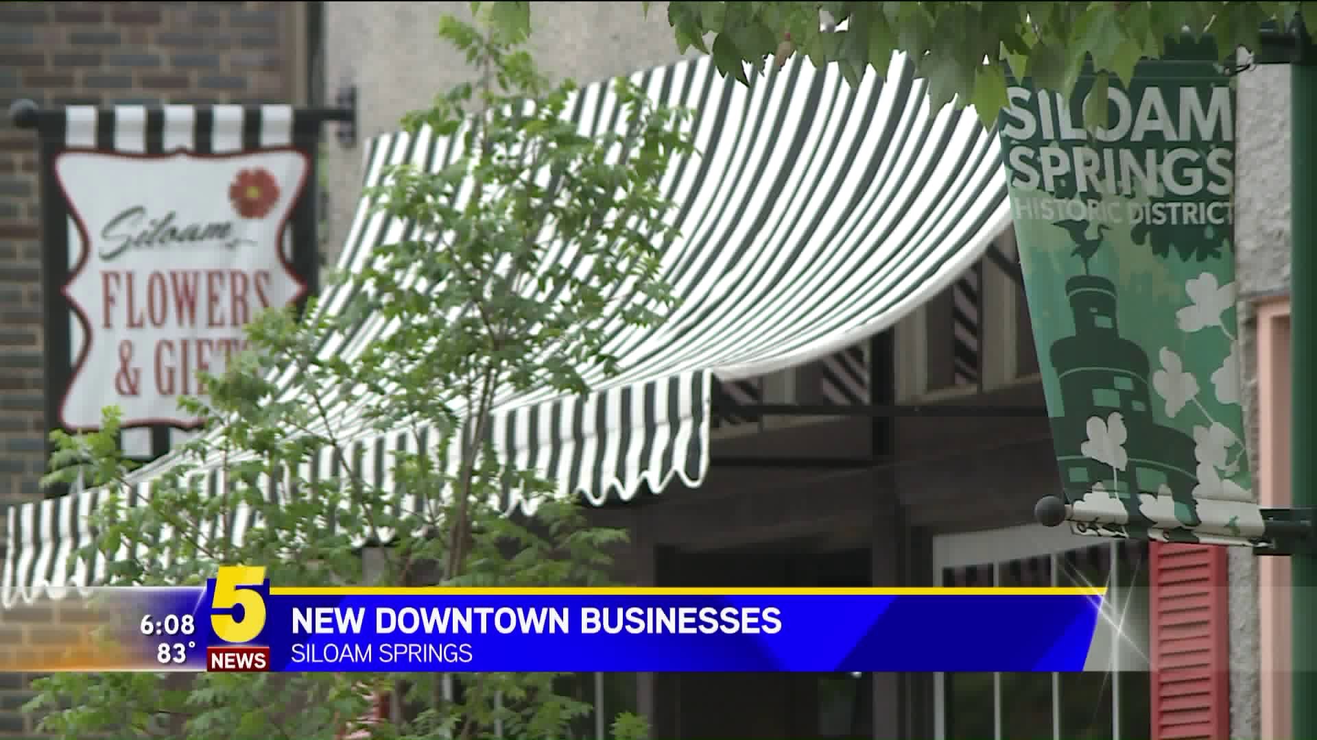 Siloam Springs Positive Business Growth