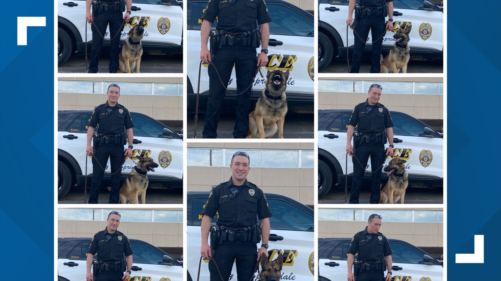 Springdale Police Department K9 Officer Kratos