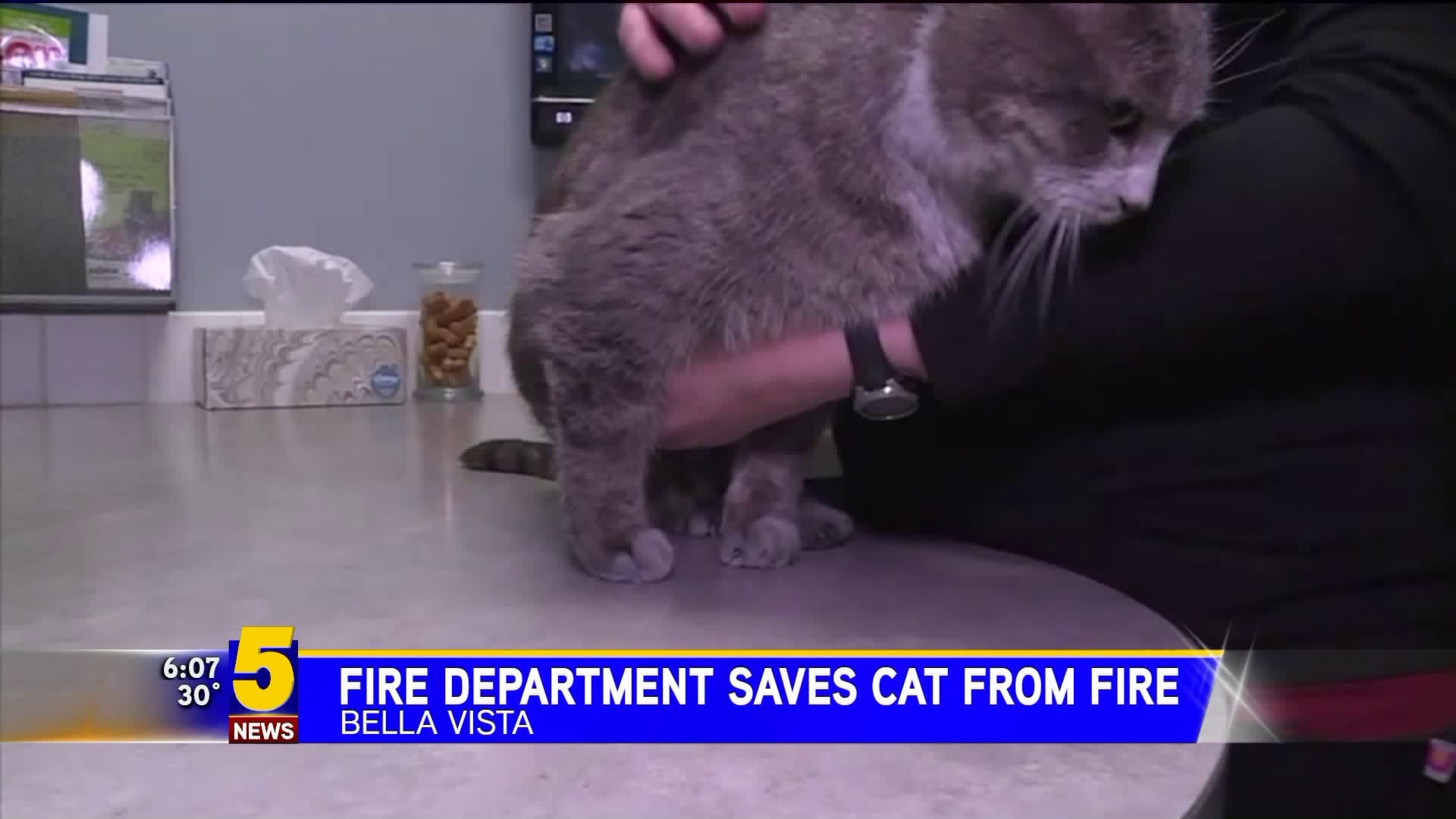 Bella Vista Fire Department Saves Cat From Fire