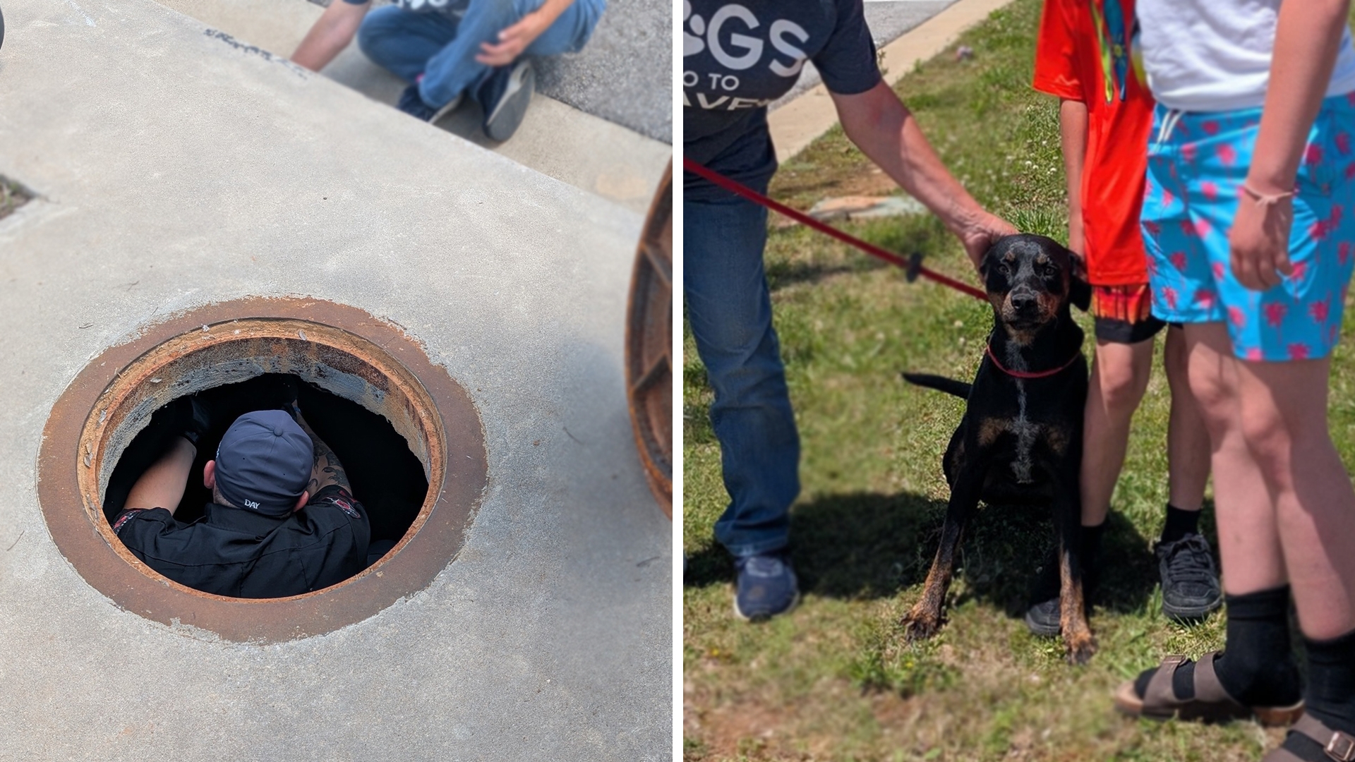 Pea Ridge police pull off Memorial Day rescue for dog stuck in storm ...
