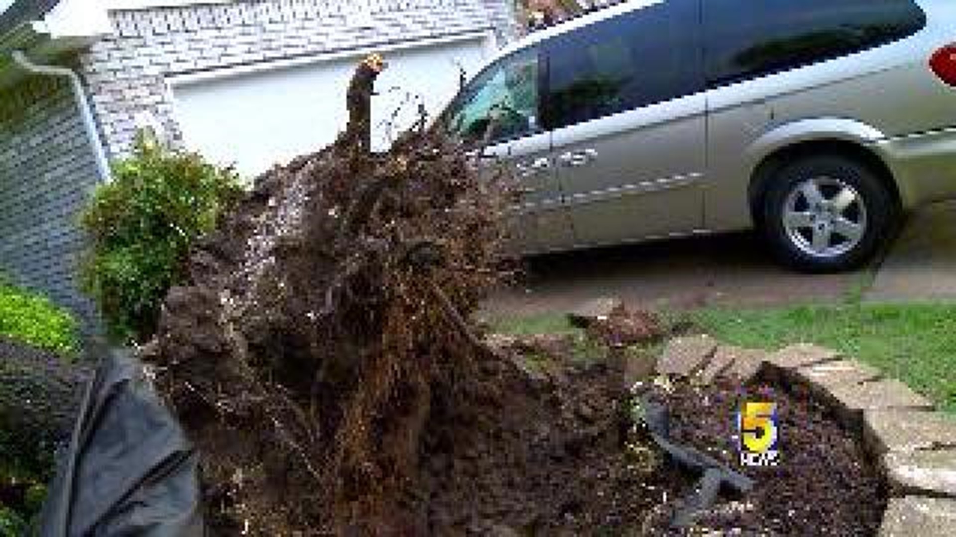 Storm Uproots Trees, Damages Rogers Home