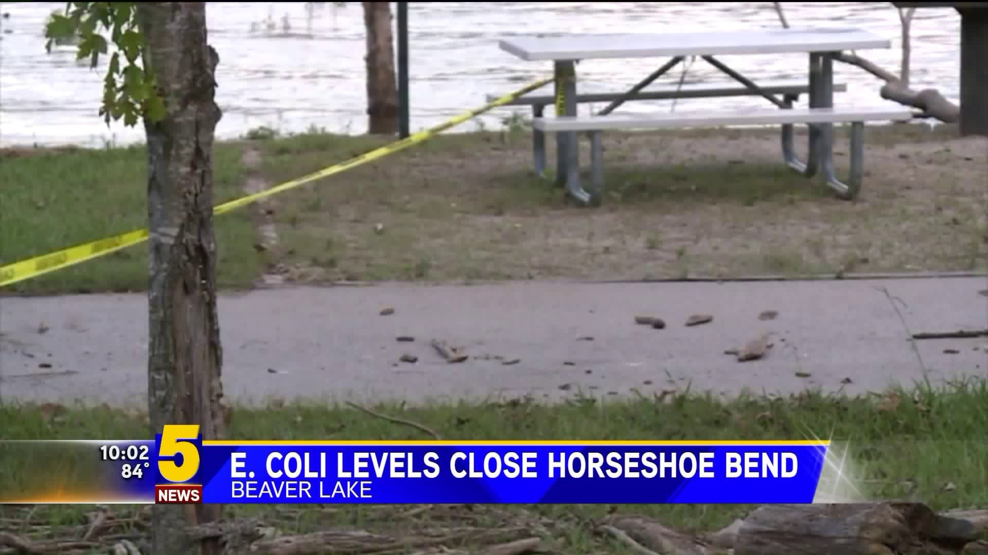 E.Coli Levels Close Horseshoe Bend Swim Beach on Beaver Lake