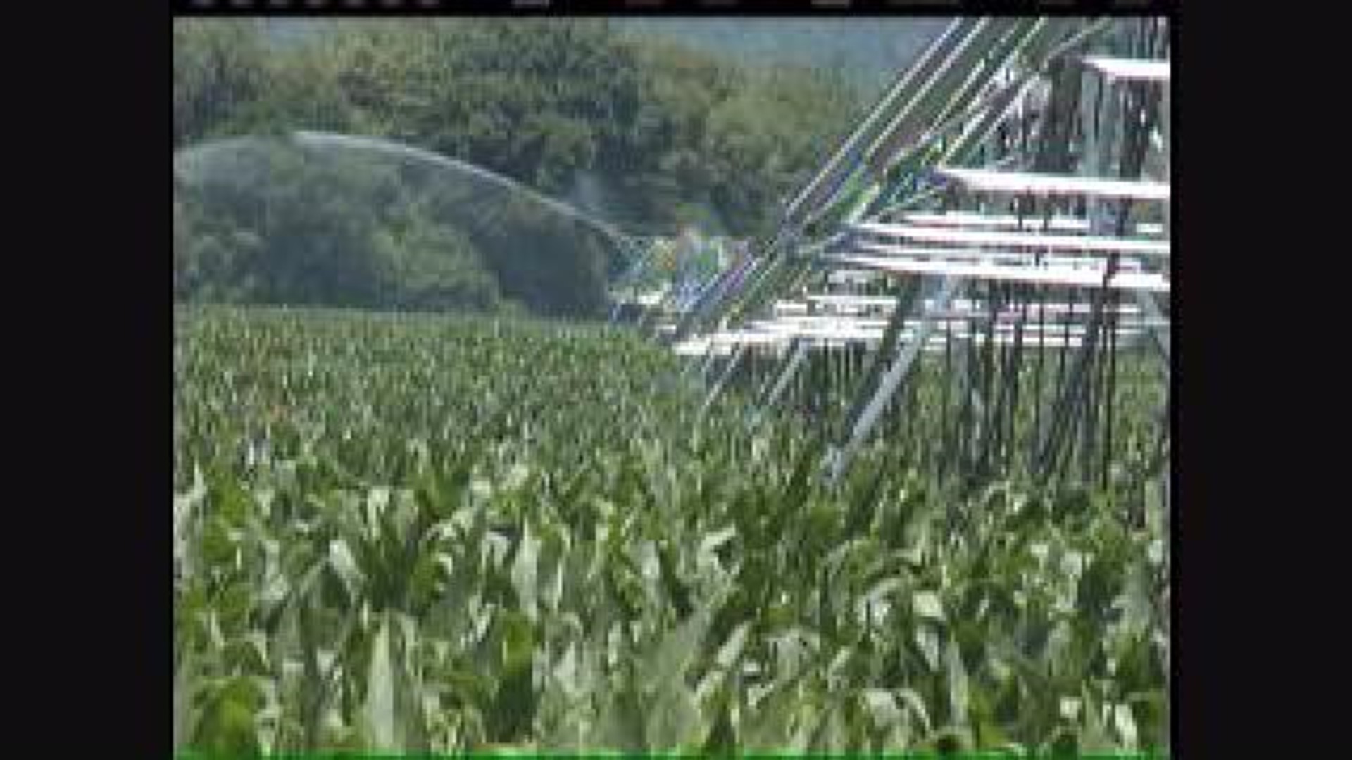 Farmers Irrigate as Drought Intensifies