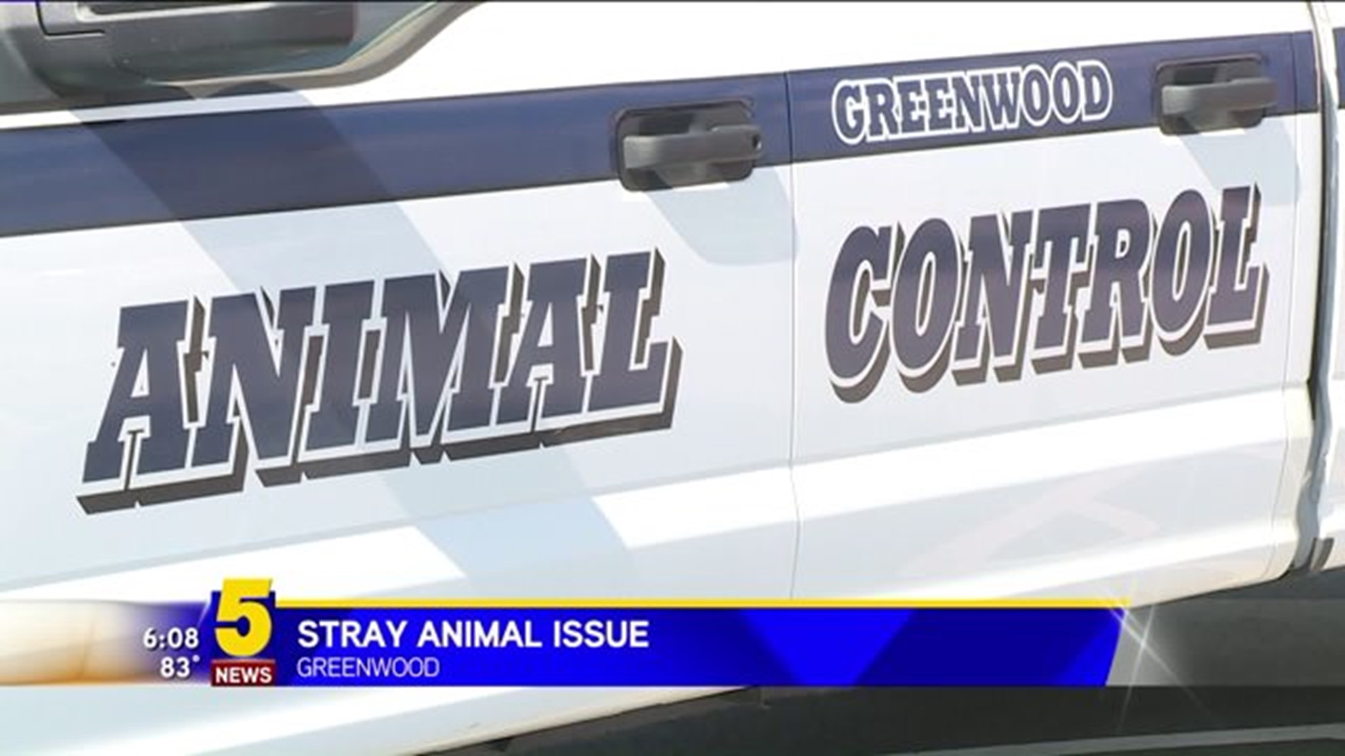 Greenwood Stray Animal Issue