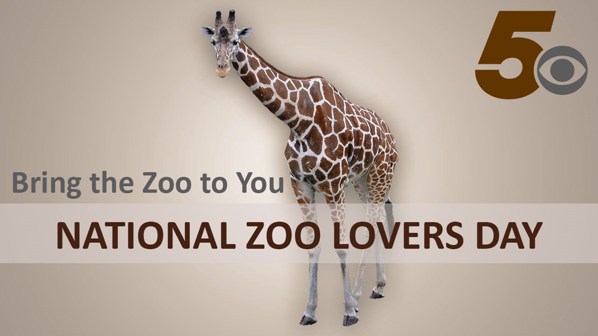 National Zoo Lovers Day; Visit zoo wildlife virtually