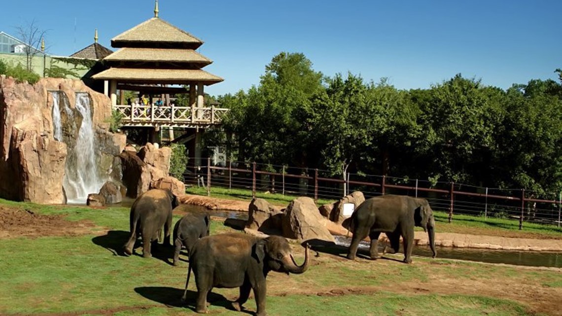 Oklahoma City Zoo’s Sanctuary Asia Nominated For Best Zoo Exhibit