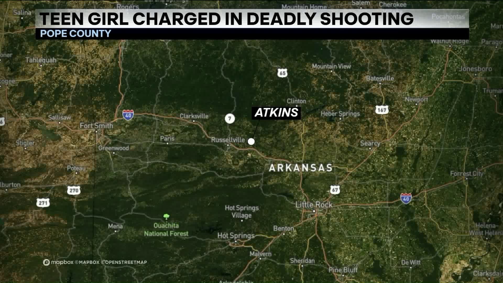 Teen Girl Charged in Death of Pope County Man