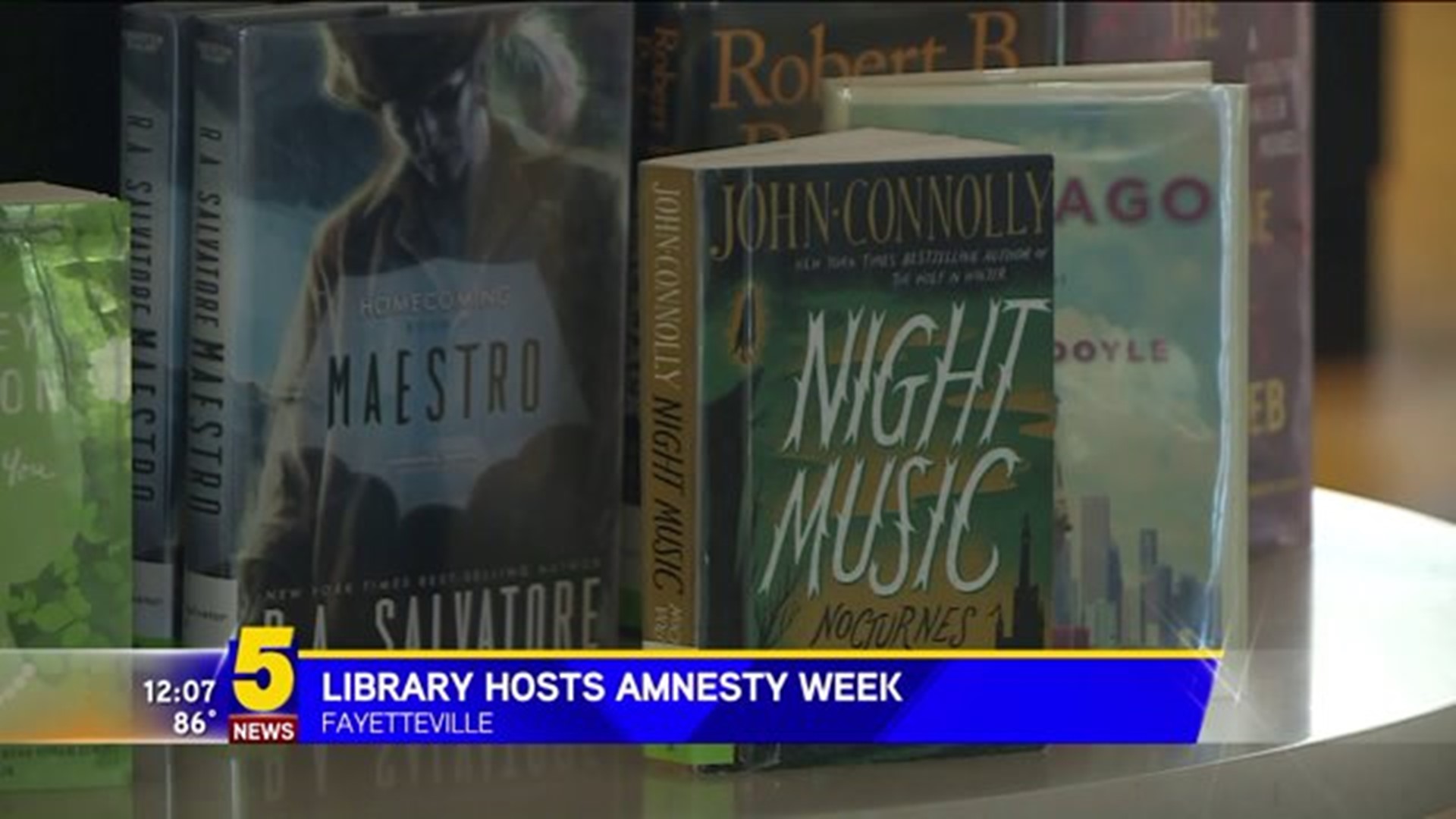 fay library amnesty week
