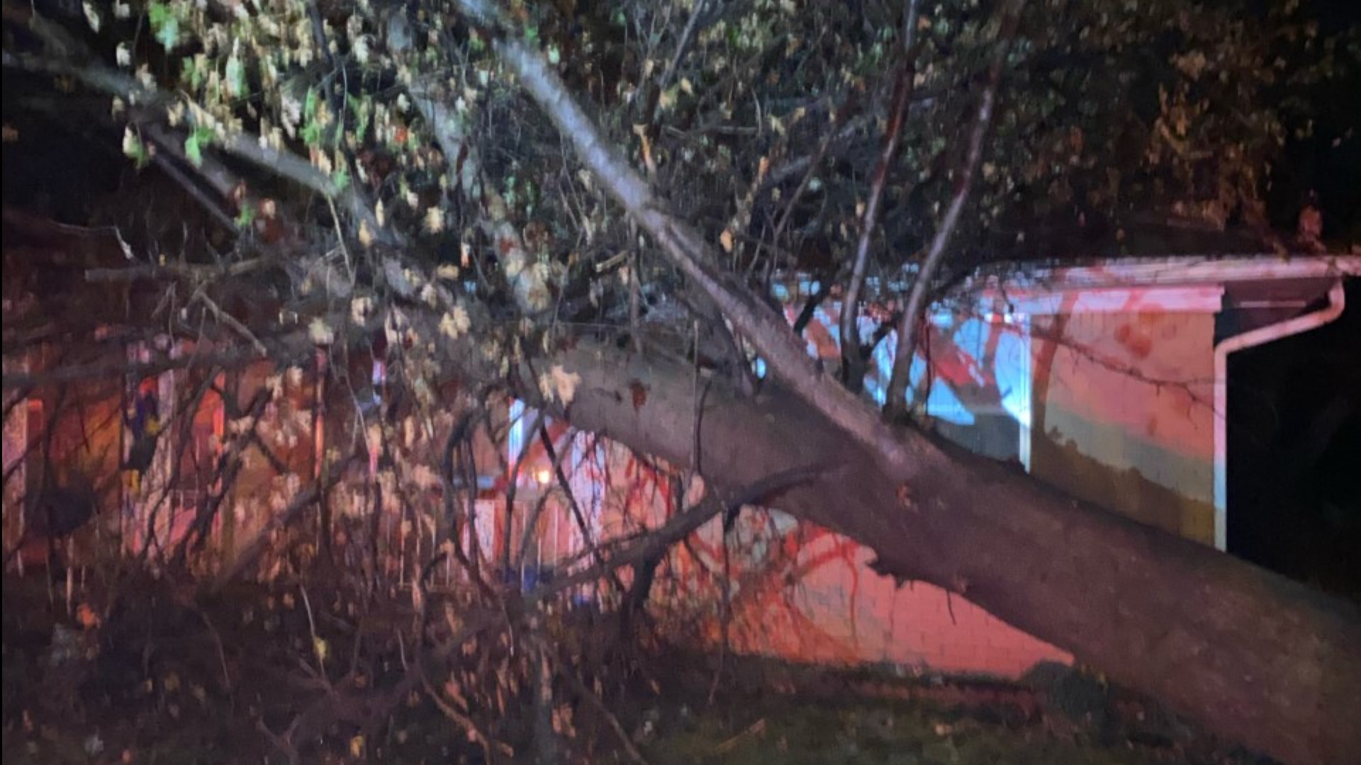 Several trees were uprooted and some homes were damaged in Sebastian County Friday evening.