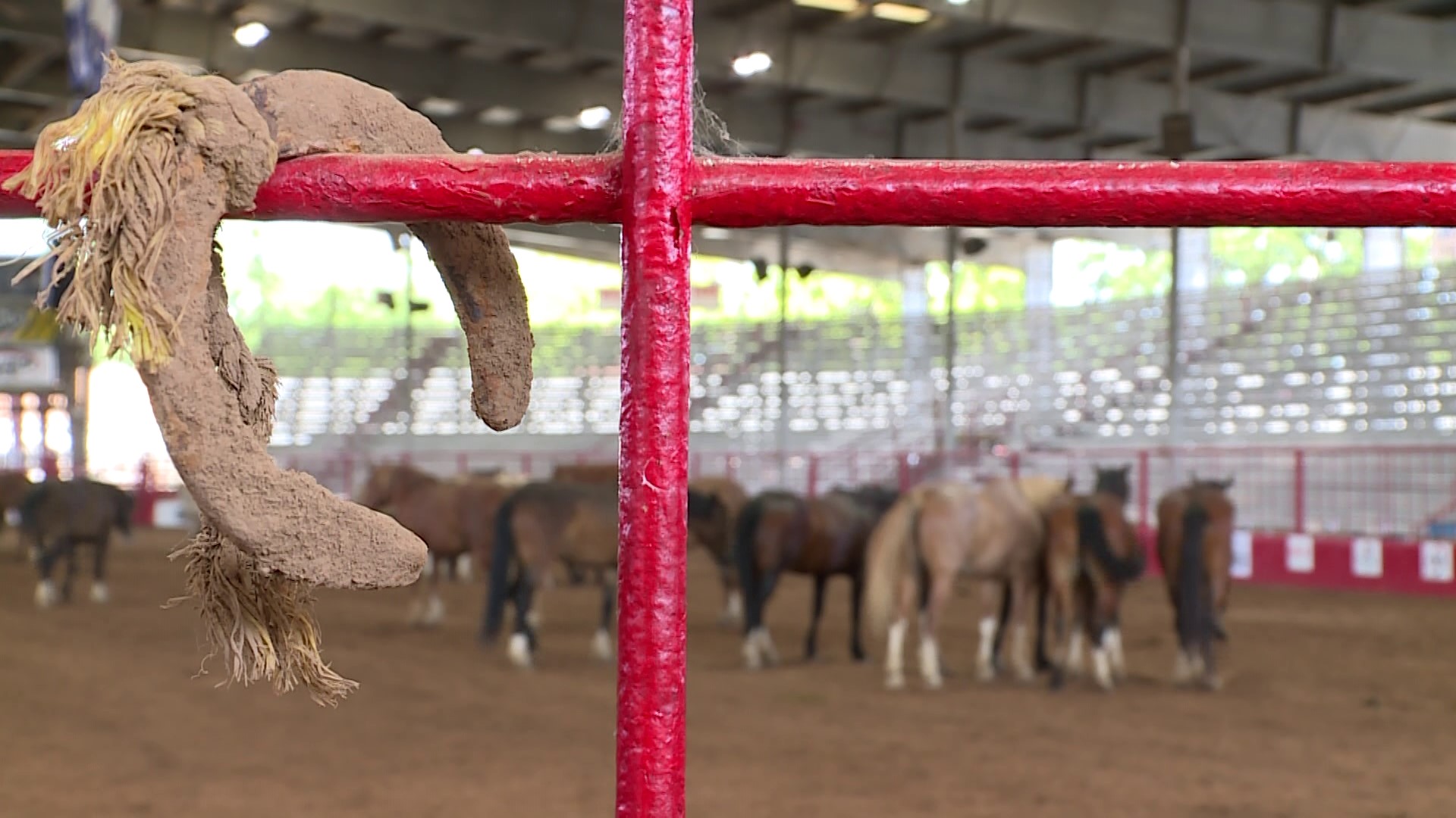 Cowpokes from across the world are throwing their 10-gallon hats into the ring.