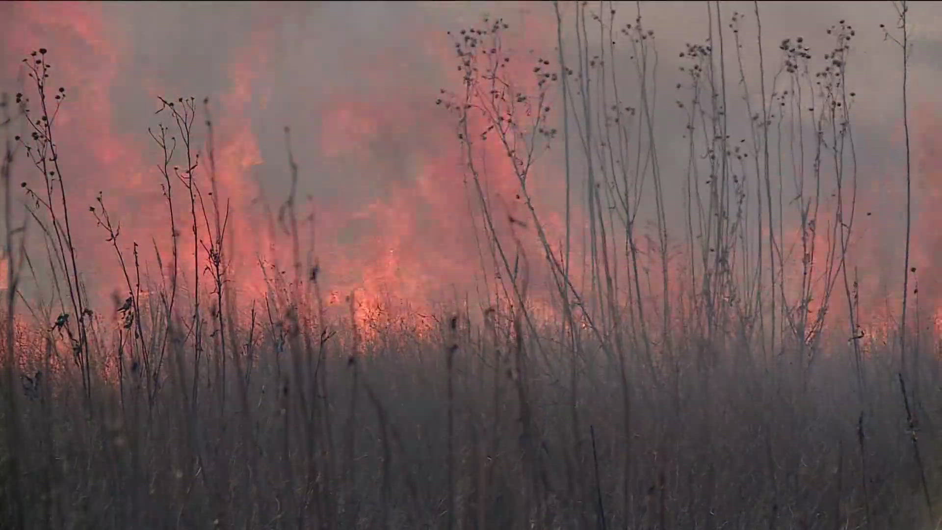 The city burned more than 60 acres around the Woolsey Wet Prairie Sanctuary off Broyles Avenue on Dec. 2. 