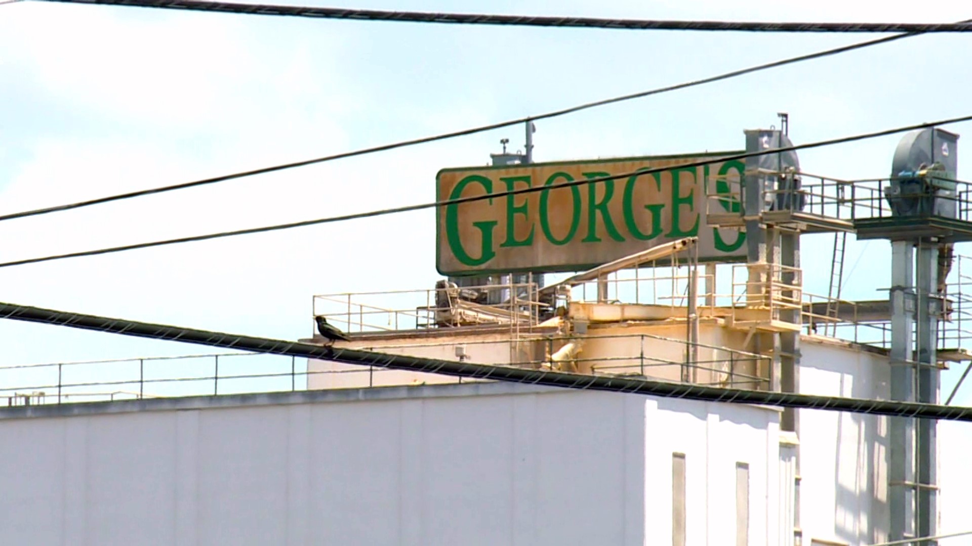 George's allegedly conspired with other companies to suppress wages.