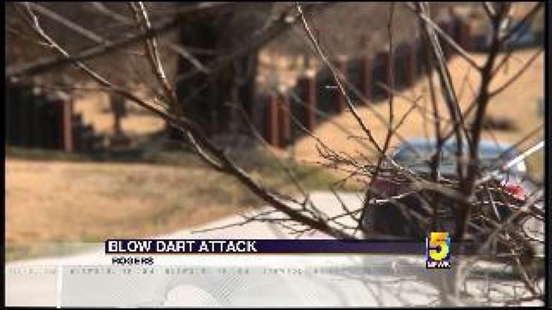 Woman Attacked By Dart