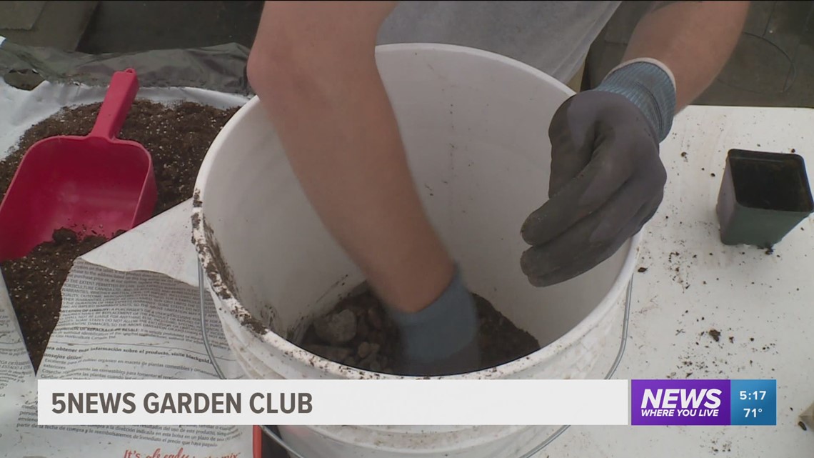 5NEWS Garden Club: Bucket Gardening