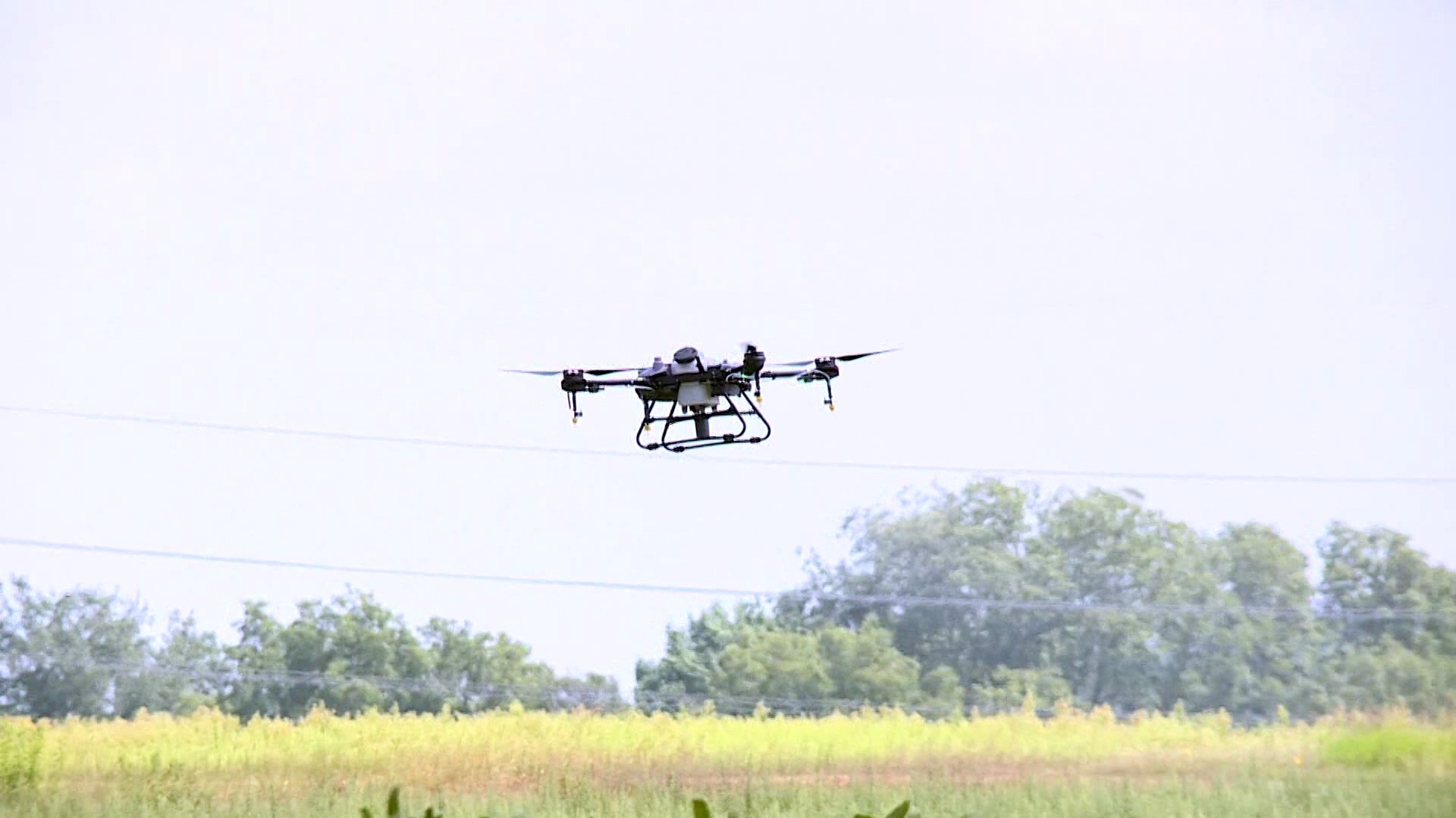 The University of Arkansas hosted a demonstration today at the Garland Farm in Fayetteville.