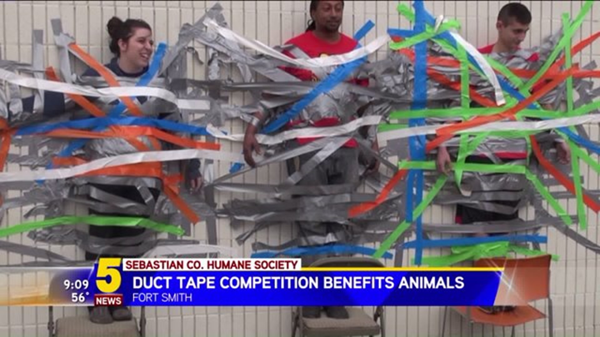 When Duct Tape Benefits Animals