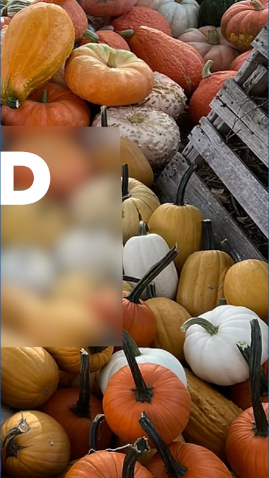 Things to do in Northwest Arkansas this weekend | 5newsonline.com