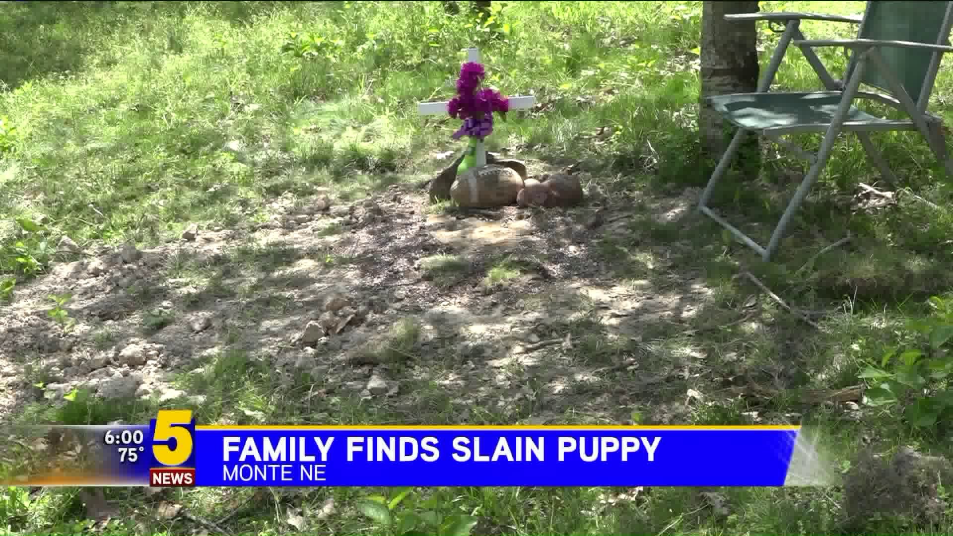 Family Finds Slain Puppy