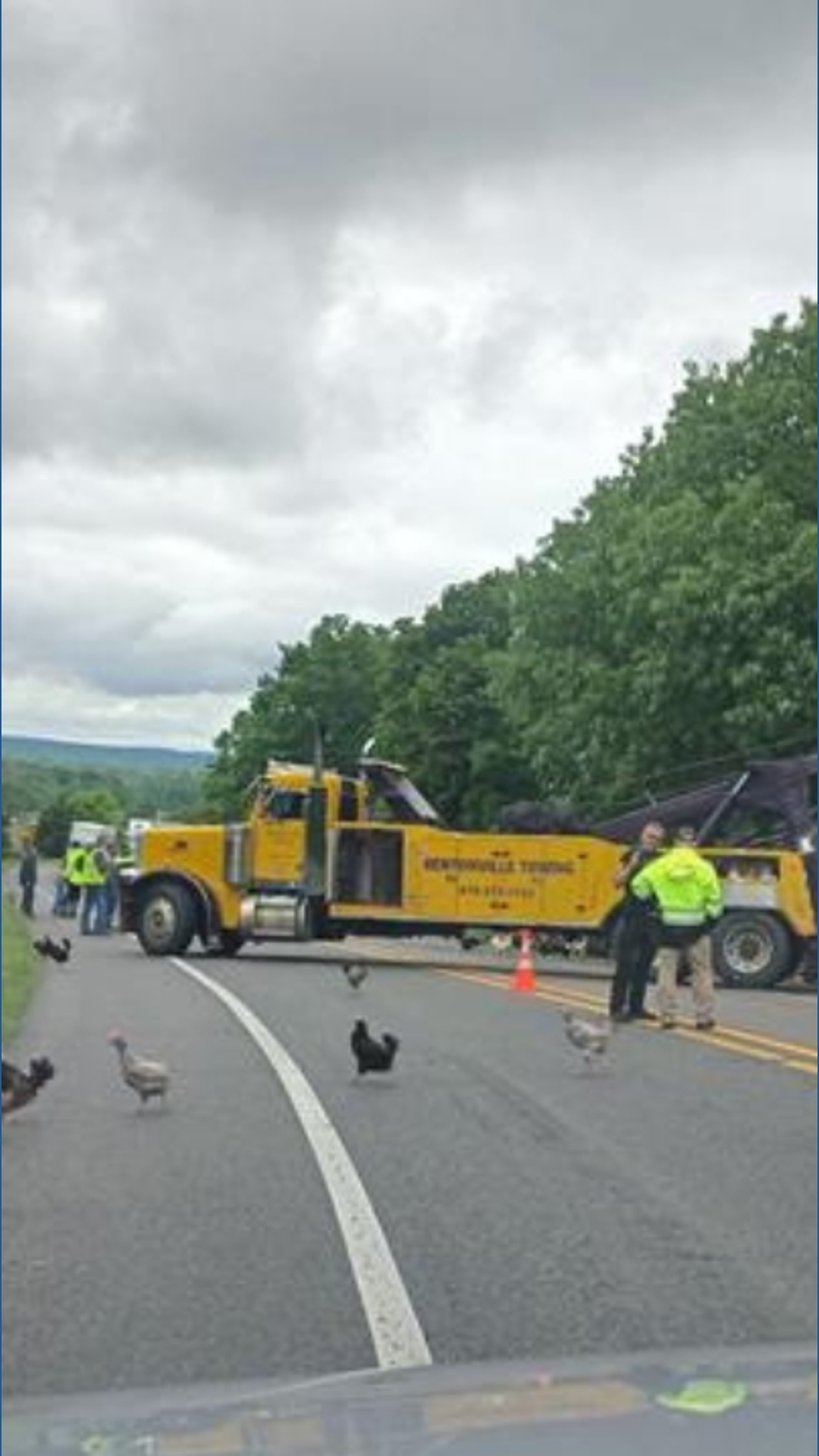 Chicken truck crash in Gravette on Highway 72 | 5newsonline.com