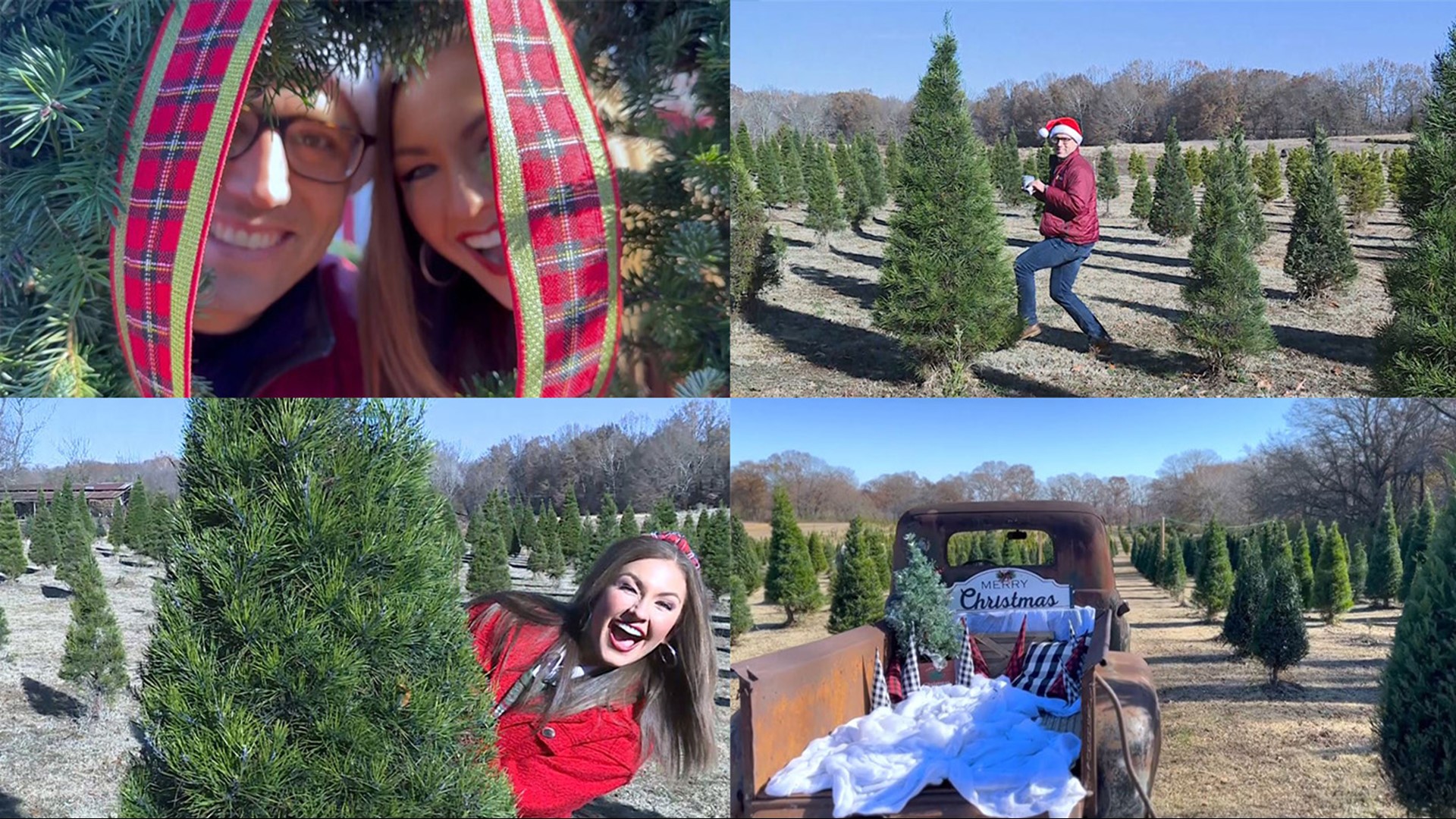 5NEWS morning crew toured D&C Holiday Farm in Muldrow and made Christmas wreaths with the owner.