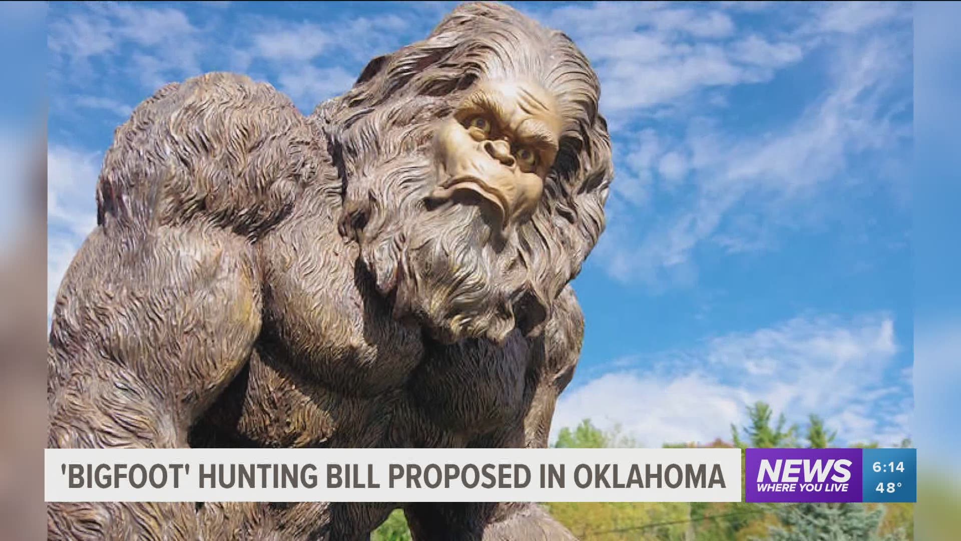 Bigfoot hunting season could soon be a reality in Oklahoma. https://bit.ly/2LXLomH