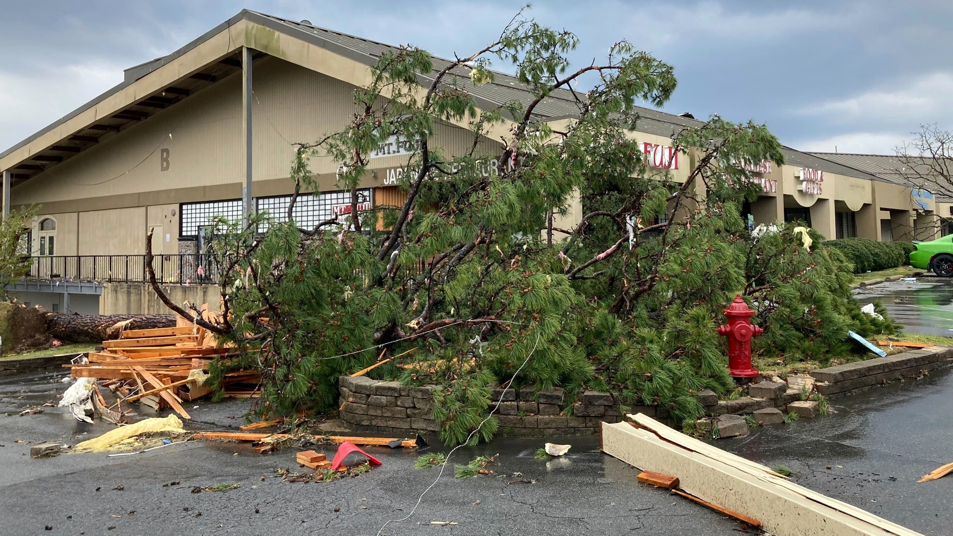 At least 18 dead after tornadoes rip through US Midwest, South ...