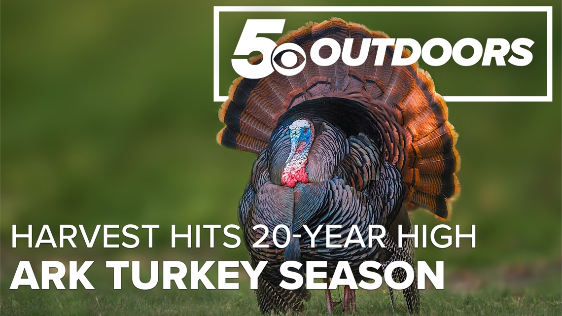 Arkansas turkey harvest hits 20-year high as AGFC points to weather, habitat work and season changes | 5OUTDOORS