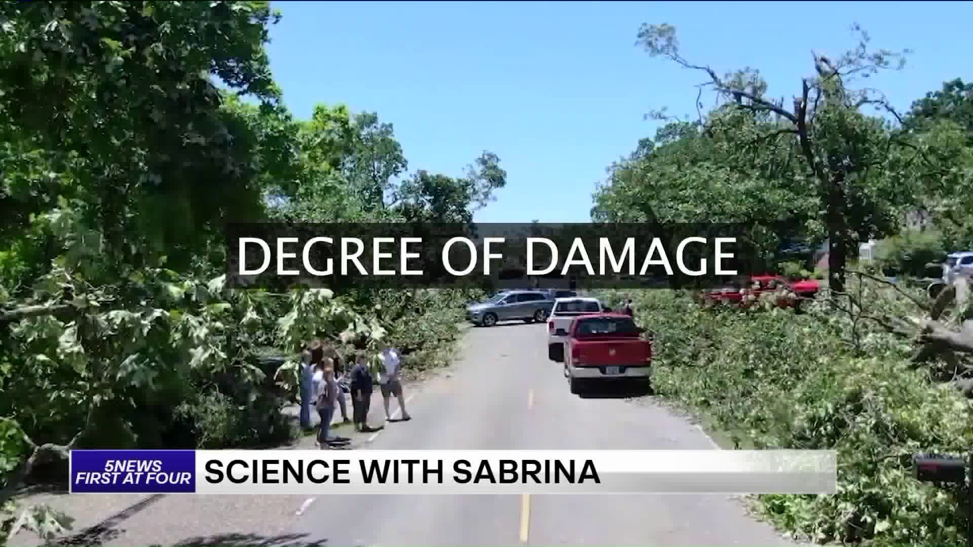 Science With Sabrina: EF Scale