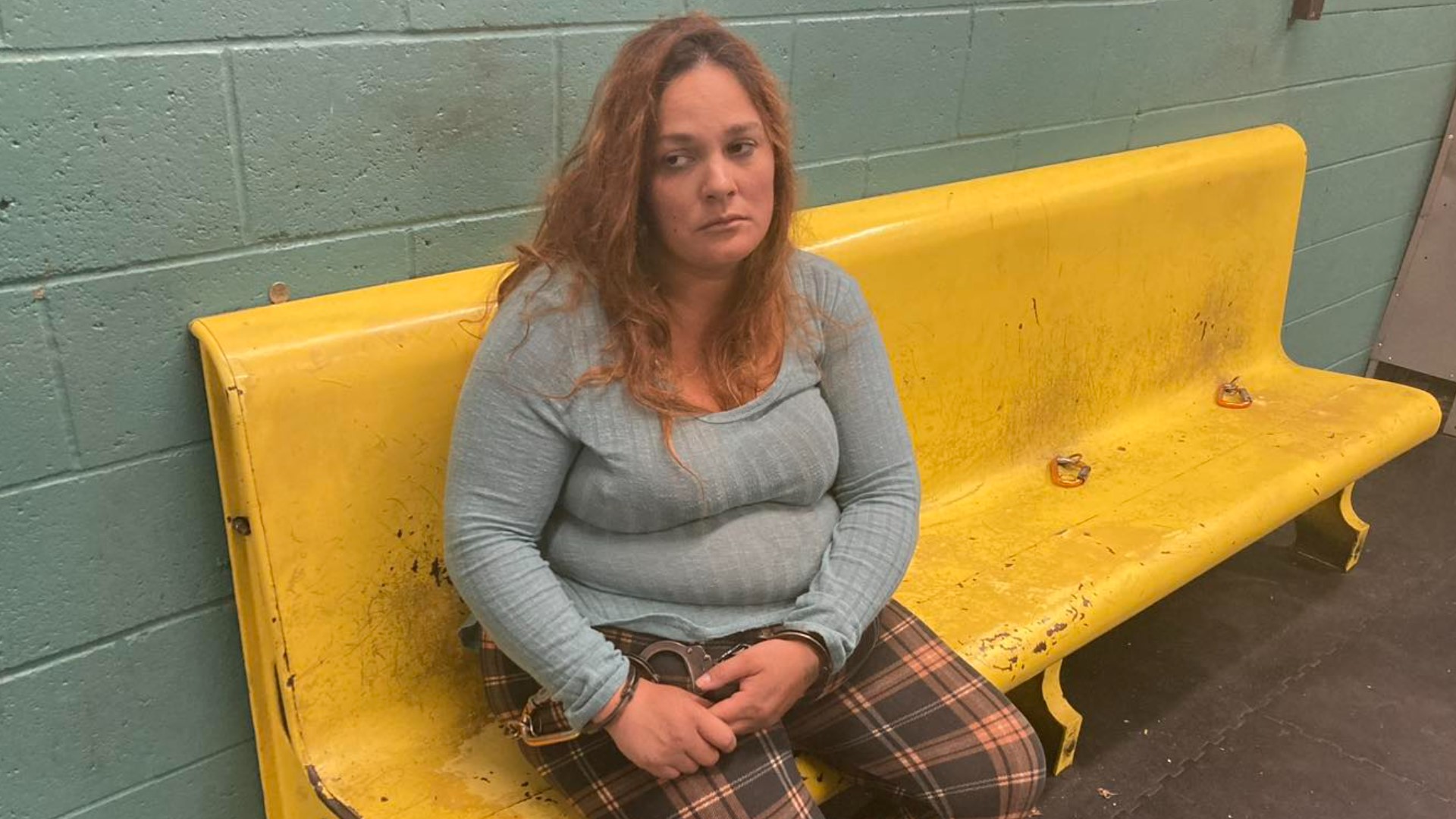 Arkansas woman pleads guilty to abducting kids, taking them to ...