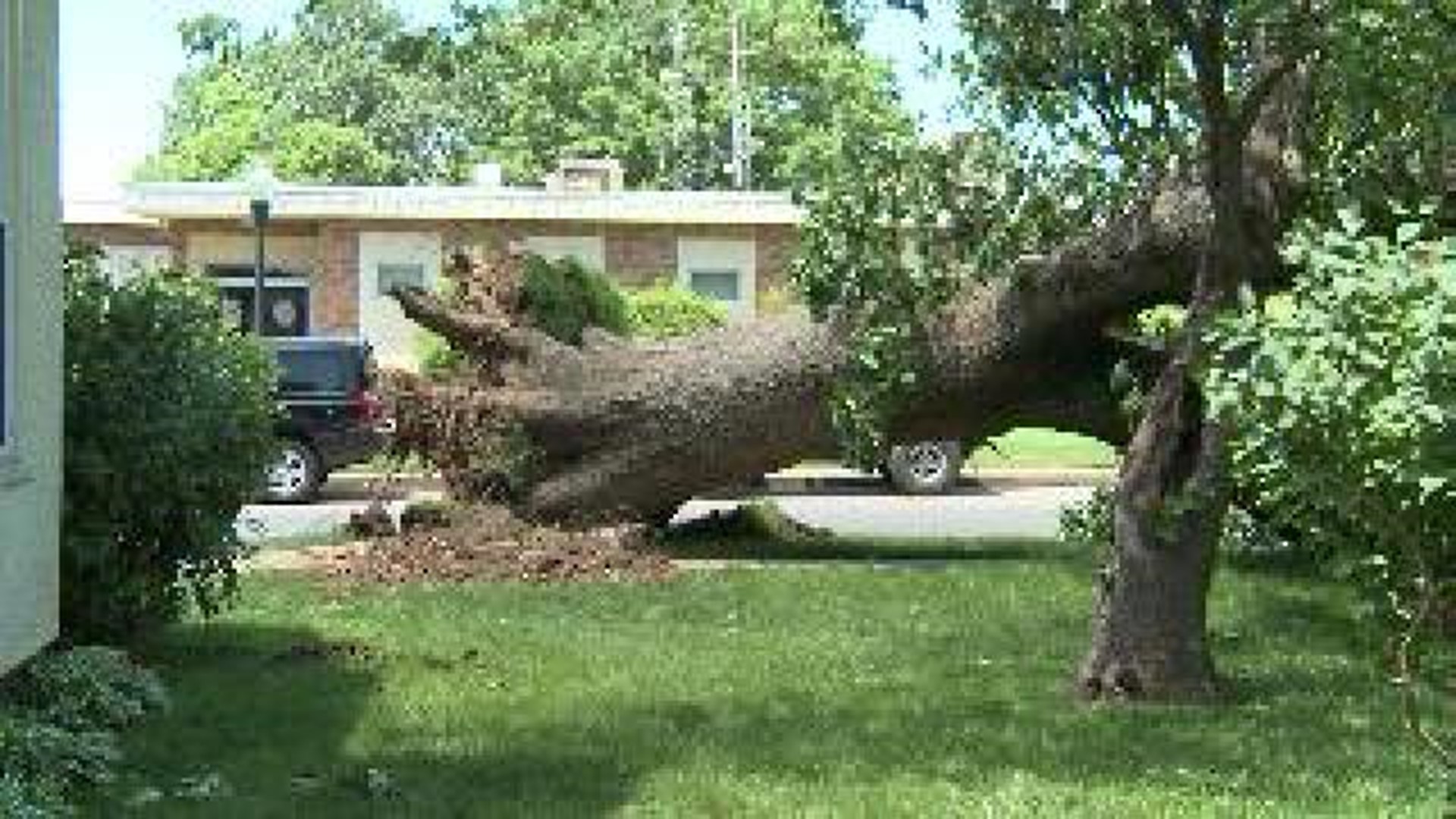 Siloam Springs Storm Damage