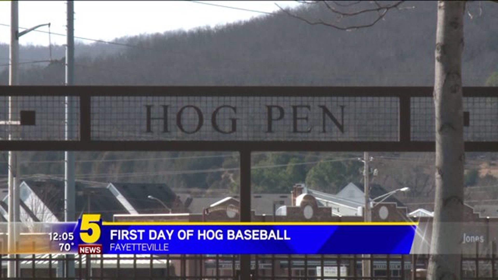 First Day of Hog Baseball
